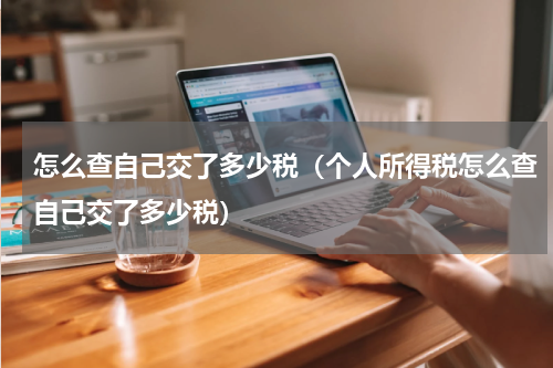 怎么查自己交了多少税（个人所得税怎么查自己交了多少税）