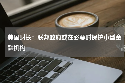 美国财长：联邦政府或在必要时保护小型金融机构