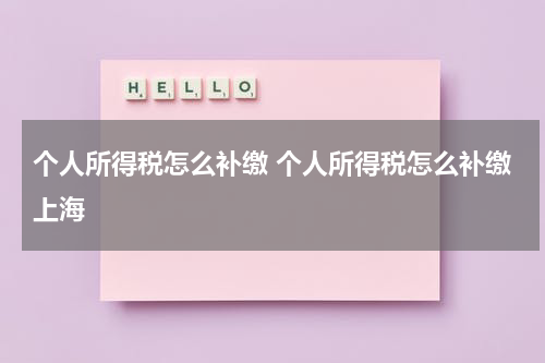 个人所得税怎么补缴 个人所得税怎么补缴上海