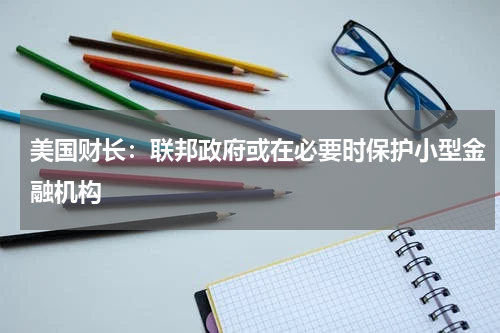 美国财长:联邦政府或在必要时保护小型金融机构