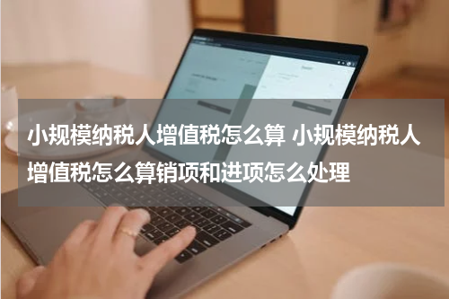 小规模纳税人增值税怎么算 小规模纳税人增值税怎么算销项和进项怎么处理