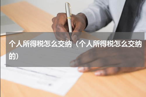 个人所得税怎么交纳（个人所得税怎么交纳的）