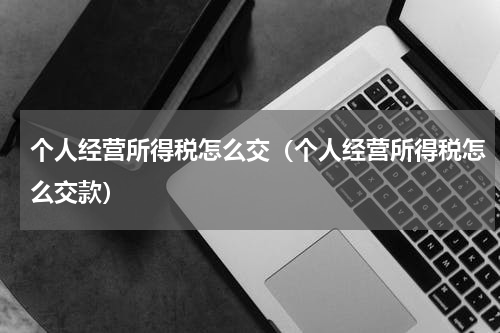 个人经营所得税怎么交（个人经营所得税怎么交款）