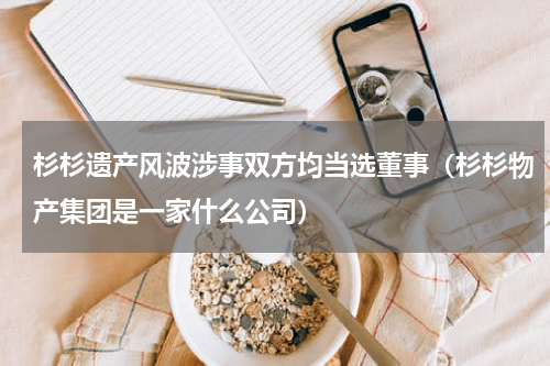 杉杉遗产风波涉事双方均当选董事(杉杉物产集团是一家什么公司)