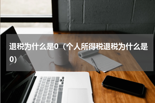 退税为什么是0（个人所得税退税为什么是0）