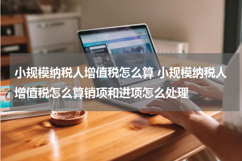 小规模纳税人增值税怎么算 小规模纳税人增值税怎么算销项和进项怎么处理