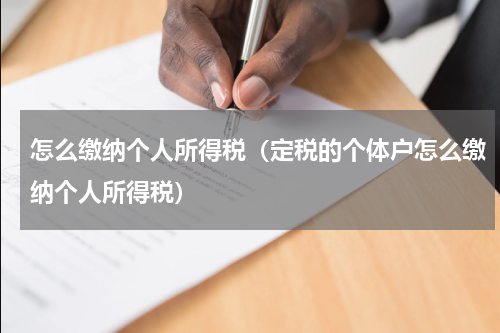怎么缴纳个人所得税（定税的个体户怎么缴纳个人所得税）