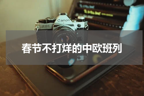 春节不打烊的中欧班列