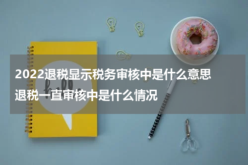 2022退税显示税务审核中是什么意思 退税一直审核中是什么情况