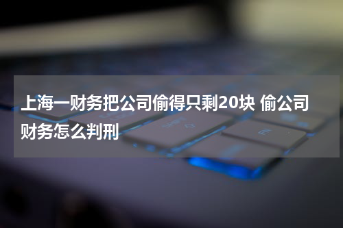 上海一财务把公司偷得只剩20块 偷公司财务怎么判刑