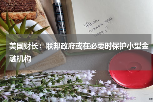 美国财长：联邦政府或在必要时保护小型金融机构