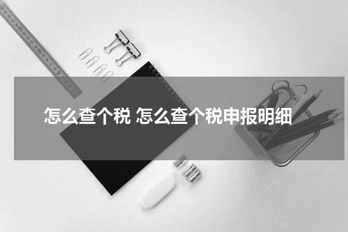 怎么查个税 怎么查个税申报明细
