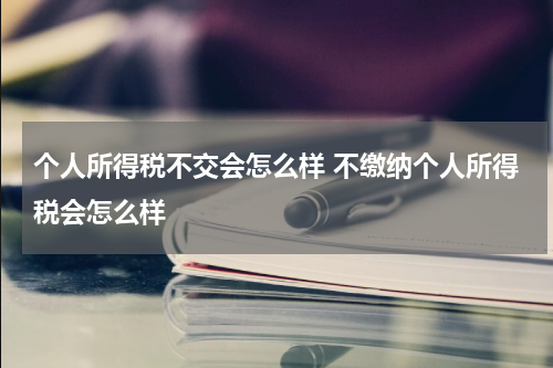 个人所得税不交会怎么样 不缴纳个人所得税会怎么样