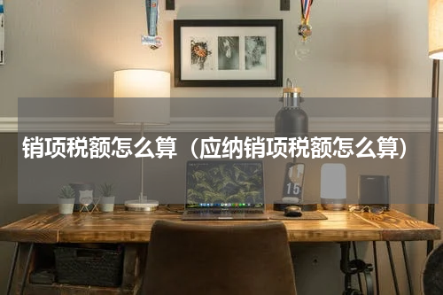 销项税额怎么算（应纳销项税额怎么算）