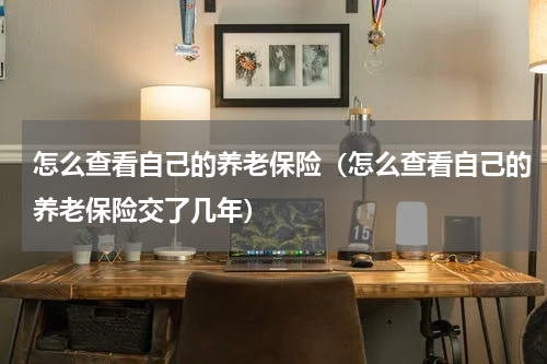 怎么查看自己的养老保险（怎么查看自己的养老保险交了几年）