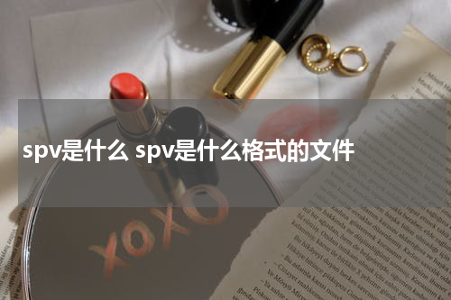 spv是什么 spv是什么格式的文件