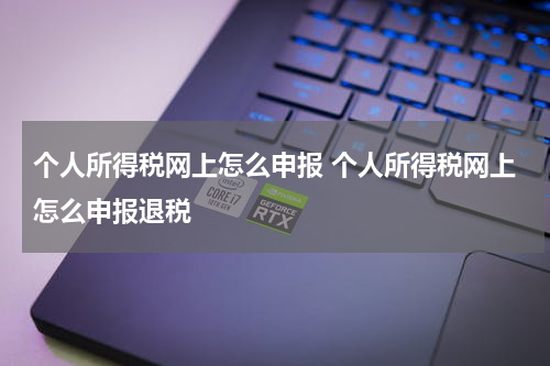 个人所得税网上怎么申报 个人所得税网上怎么申报退税