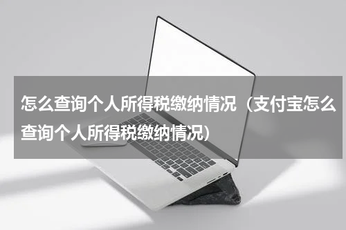 怎么查询个人所得税缴纳情况（支付宝怎么查询个人所得税缴纳情况）