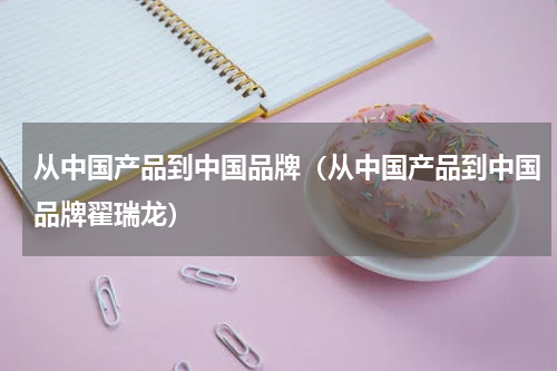 从中国产品到中国品牌（从中国产品到中国品牌翟瑞龙）