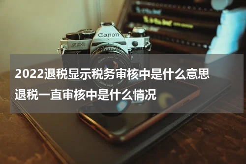 2022退税显示税务审核中是什么意思 退税一直审核中是什么情况