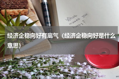 经济企稳向好有底气（经济企稳向好是什么意思）
