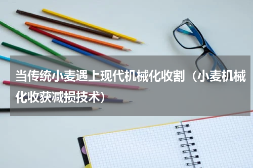 当传统小麦遇上现代机械化收割（小麦机械化收获减损技术）