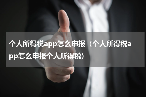 个人所得税app怎么申报（个人所得税app怎么申报个人所得税）
