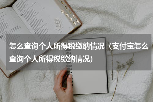 怎么查询个人所得税缴纳情况（支付宝怎么查询个人所得税缴纳情况）