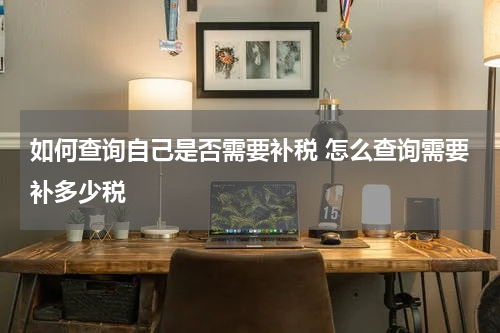 如何查询自己是否需要补税 怎么查询需要补多少税