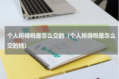 个人所得税是怎么交的（个人所得税是怎么交的钱）