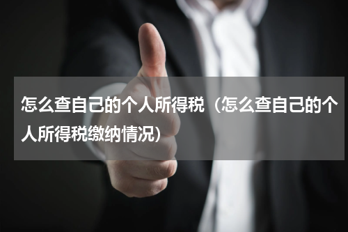 怎么查自己的个人所得税（怎么查自己的个人所得税缴纳情况）