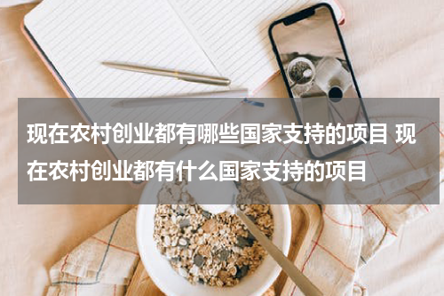 现在农村创业都有哪些国家支持的项目 现在农村创业都有什么国家支持的项目