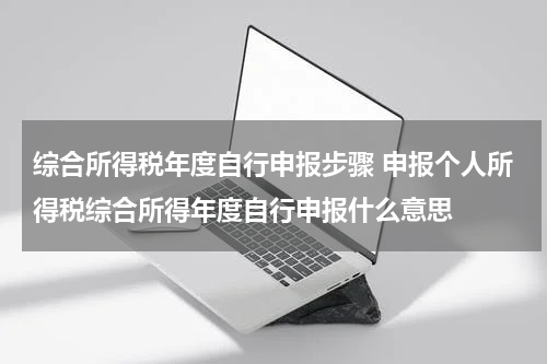 综合所得税年度自行申报步骤 申报个人所得税综合所得年度自行申报什么意思