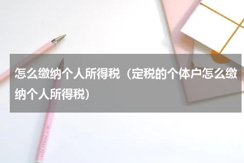 怎么缴纳个人所得税（定税的个体户怎么缴纳个人所得税）