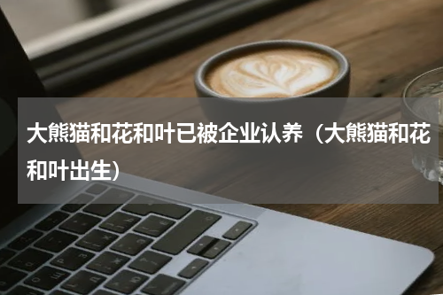 大熊猫和花和叶已被企业认养（大熊猫和花和叶出生）