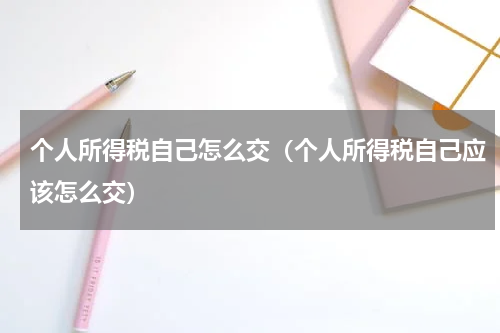 个人所得税自己怎么交（个人所得税自己应该怎么交）