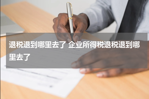 退税退到哪里去了 企业所得税退税退到哪里去了