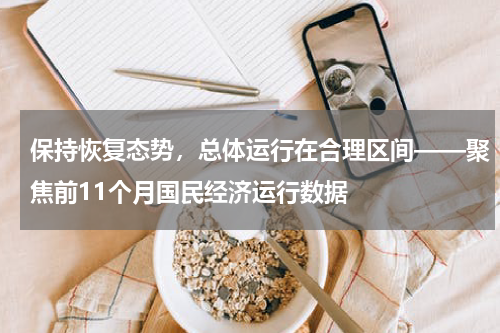 保持恢复态势，总体运行在合理区间——聚焦前11个月国民经济运行数据