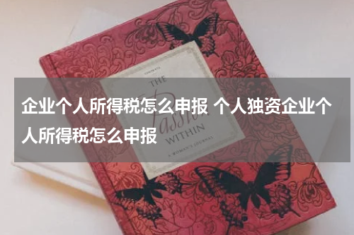 企业个人所得税怎么申报 个人独资企业个人所得税怎么申报