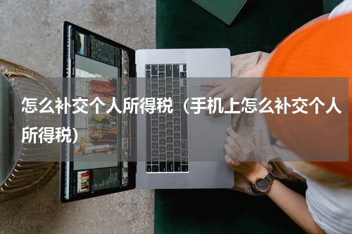 怎么补交个人所得税(手机上怎么补交个人所得税)