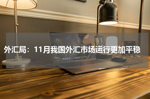 外汇局：11月我国外汇市场运行更加平稳