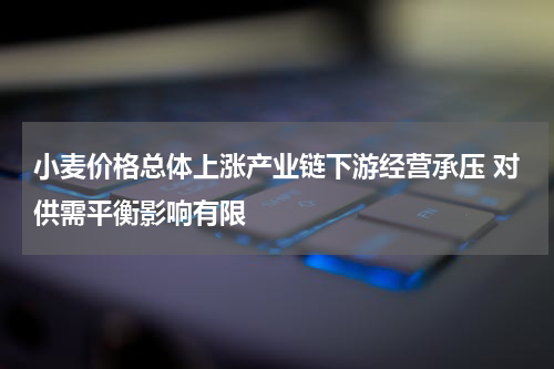 小麦价格总体上涨产业链下游经营承压 对供需平衡影响有限