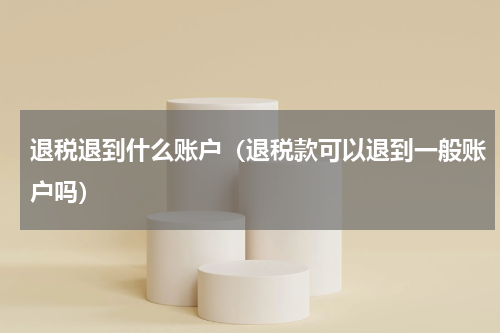 退税退到什么账户（退税款可以退到一般账户吗）