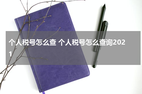 个人税号怎么查 个人税号怎么查询2021