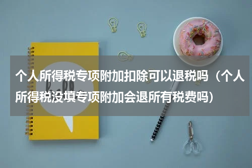 个人所得税专项附加扣除可以退税吗(个人所得税没填专项附加会退所有税费吗)