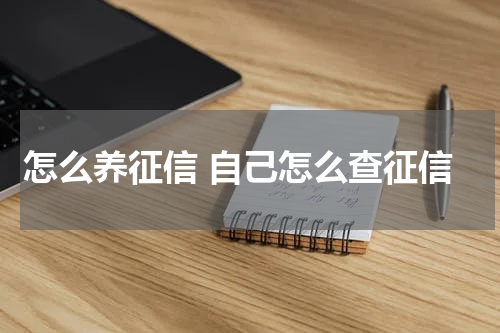 怎么养征信 自己怎么查征信