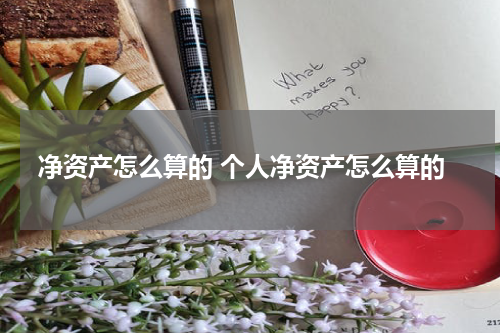 净资产怎么算的 个人净资产怎么算的