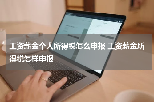 工资薪金个人所得税怎么申报 工资薪金所得税怎样申报