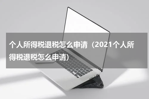 个人所得税退税怎么申请（2021个人所得税退税怎么申请）