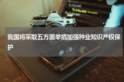 我国将采取五方面举措加强种业知识产权保护